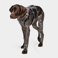 Ruffwear Flagline Dog Harness 11 Ruffwear Flagline Dog Harness -Outdoor Equipment Sale go 376056 c