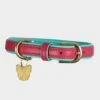 Padded Leather Dog Collar -Outdoor Equipment Sale go 478345 a