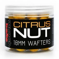 Citrus Nut Wafters (18mm) -Outdoor Equipment Sale go 577605 z