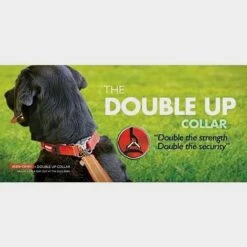 Double Up Dog Collar (Small) -Outdoor Equipment Sale go 604688 c